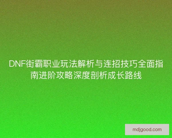 DNF街霸职业玩法解析与连招技巧全面指南进阶攻略深度剖析成长路线